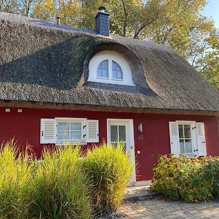 Ferienhaus Stella Glowe Exteriér fotografie